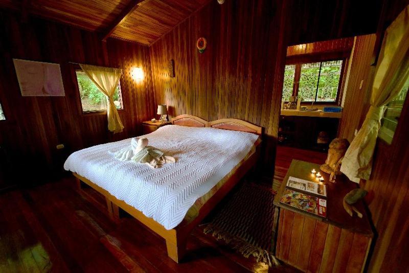 Lodge Mirador - Great Swimming Pool - Kitchen - Bbq - Netflix Tajo Alto Bagian luar foto