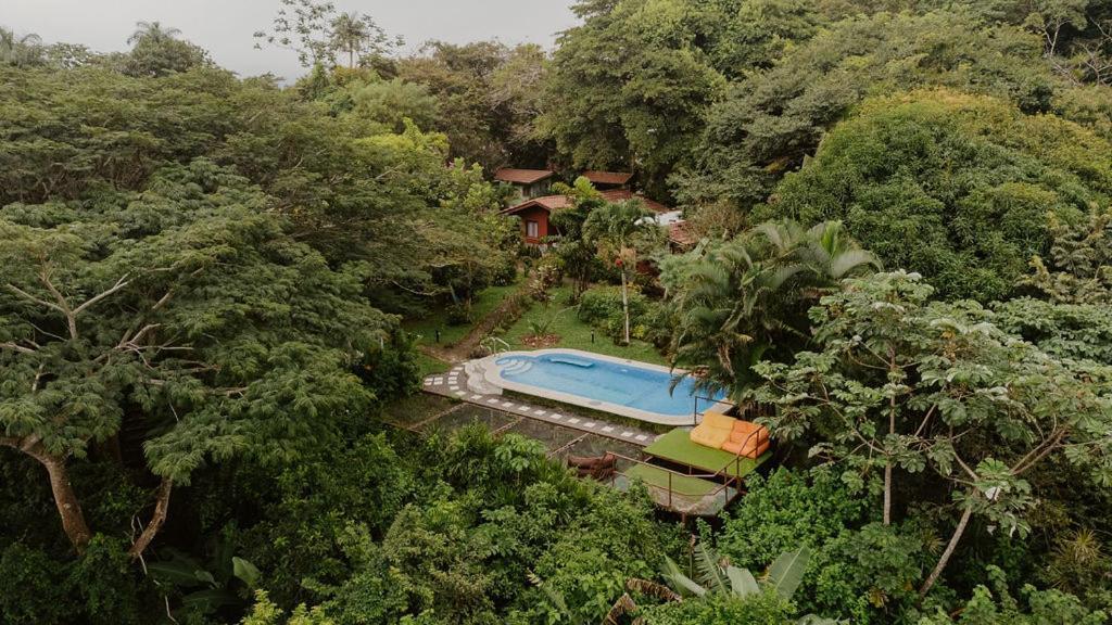 Lodge Mirador - Great Swimming Pool - Kitchen - Bbq - Netflix Tajo Alto Bagian luar foto
