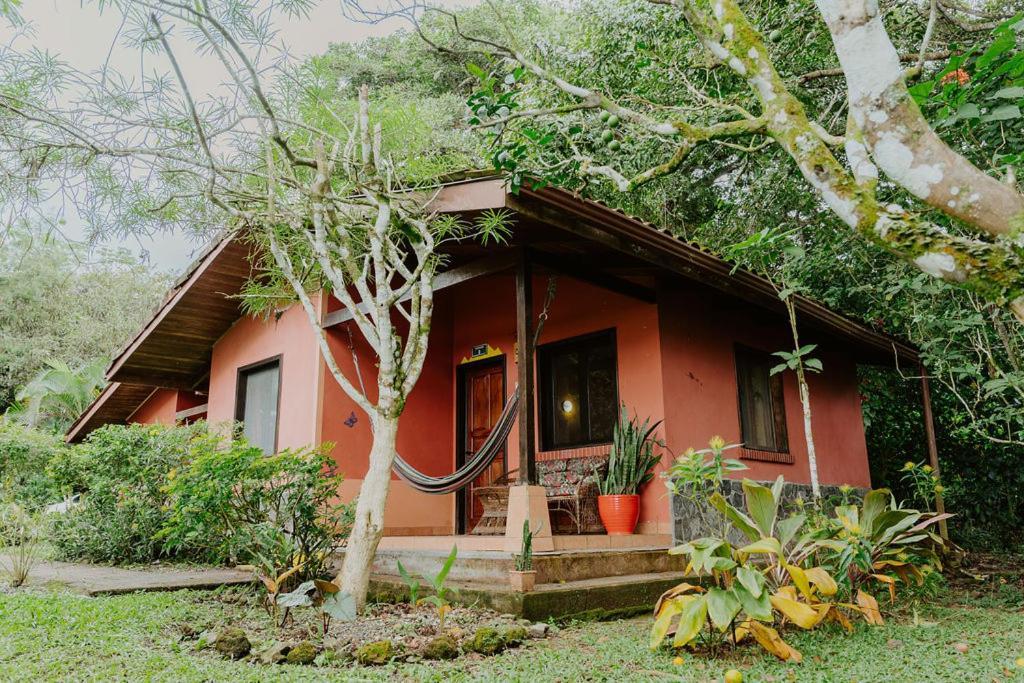 Lodge Mirador - Great Swimming Pool - Kitchen - Bbq - Netflix Tajo Alto Bagian luar foto