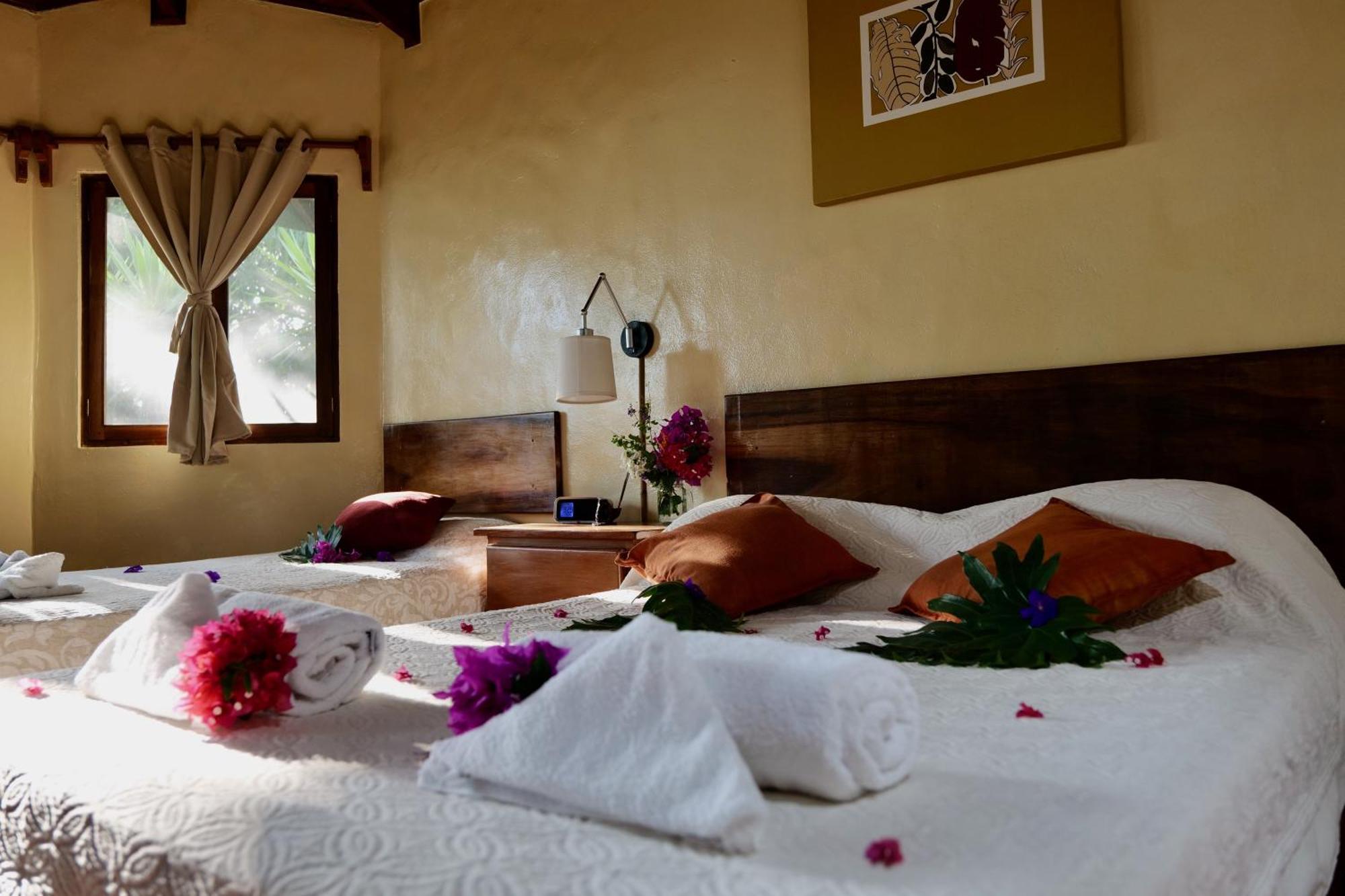 Lodge Mirador - Great Swimming Pool - Kitchen - Bbq - Netflix Tajo Alto Bagian luar foto